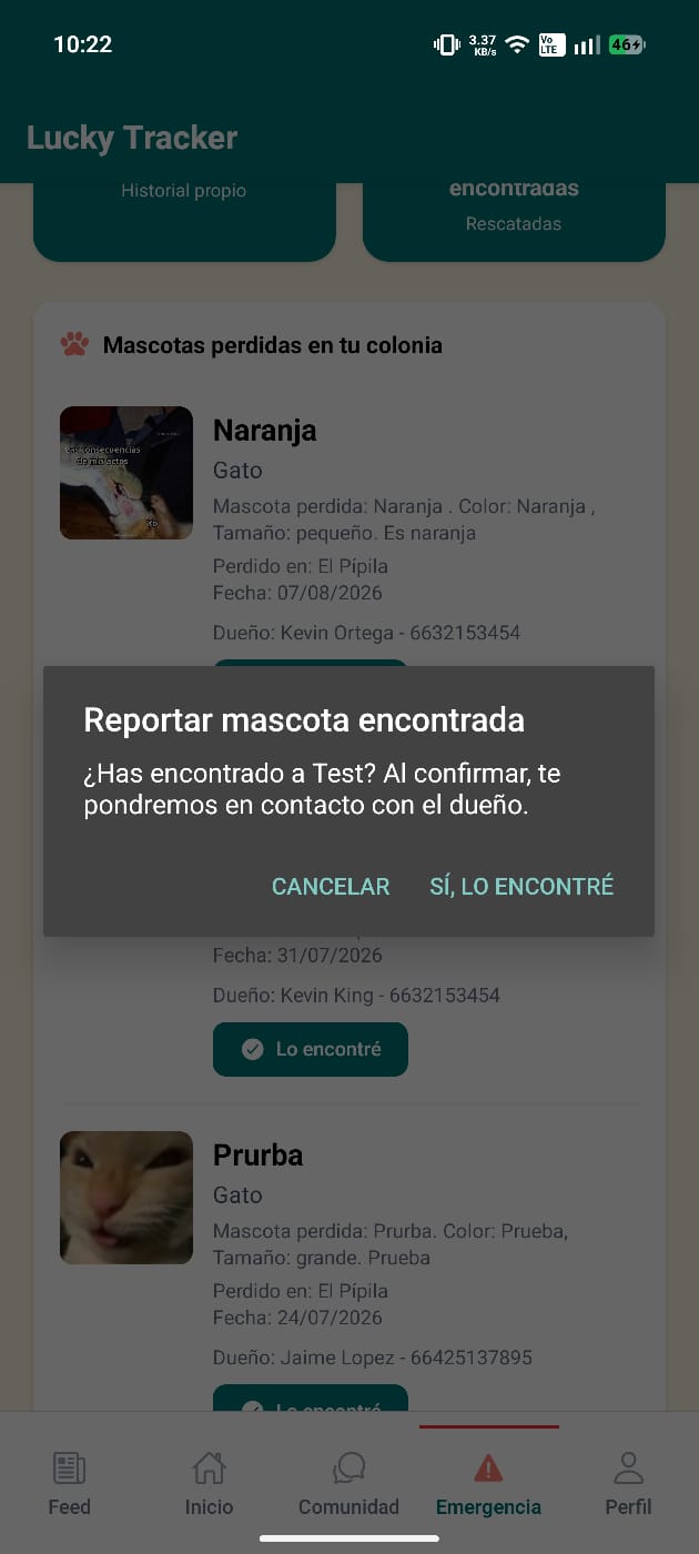 Reportar mascota encontrada