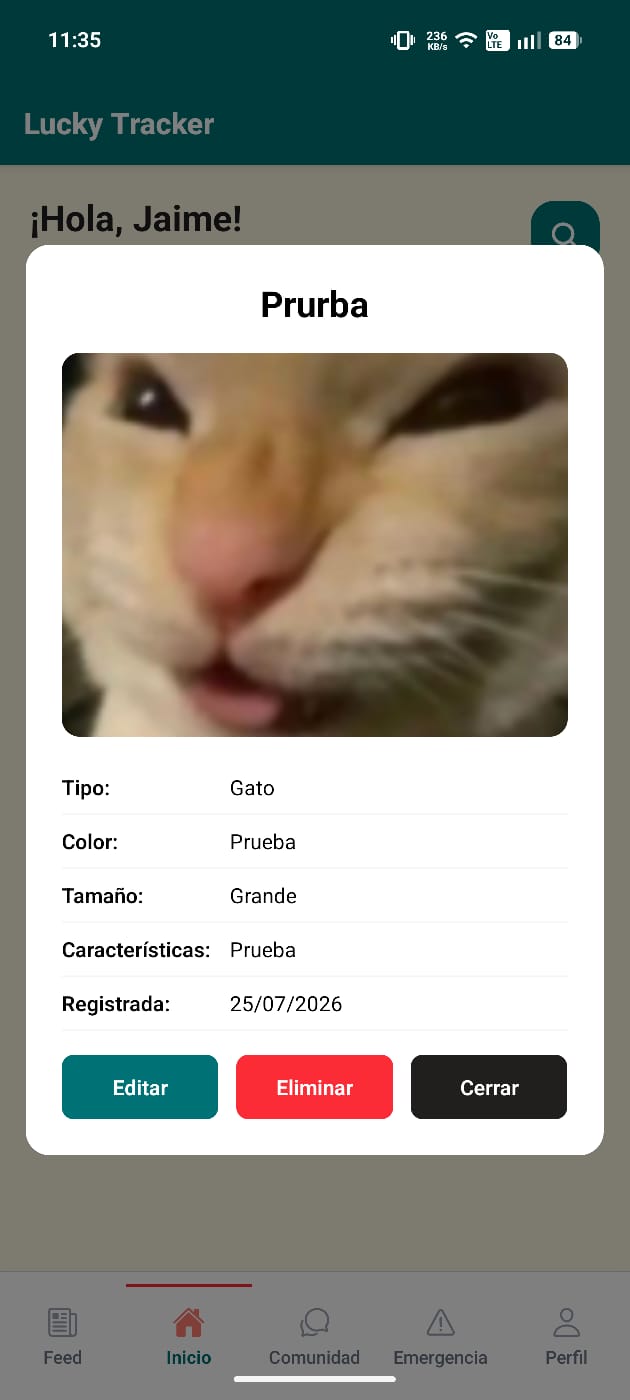 Ficha de mascota