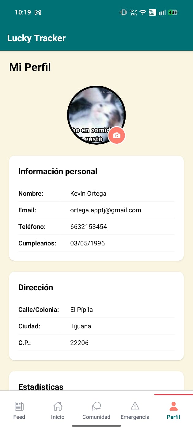 Perfil — información y estadísticas